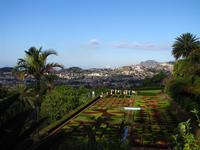 Blick auf Funchal