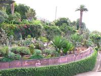 Im Botanischen Garten Funchals