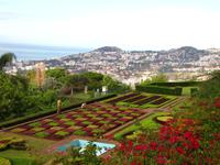 Im Botanischen Garten Funchals