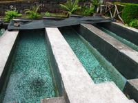 Forellenzucht in Ribeiro Frio