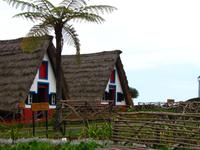 Strohgedeckte Häuser in Santana