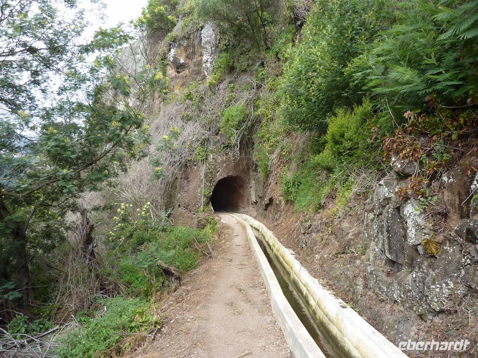 immer der Levada entlang