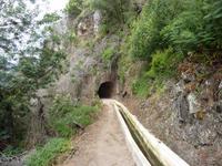 immer der Levada entlang