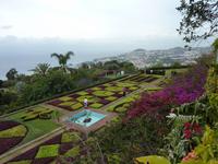 Botanischer Garten in Funchal