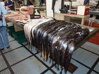 Espada preta , schwazer Degenfisch