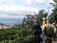 IMG_2968 Zur Weinverkostung des Madeirer auf einem privaten Weingut