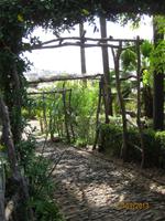 IMG_2977 Zu Besuch im Botanischen Garten von Funchal