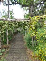 IMG_2986 Zu Besuch im Botanischen Garten von Funchal