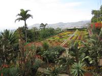 IMG_2993 Zu Besuch im Botanischen Garten von Funchal