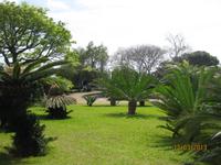 IMG_2996 Zu Besuch im Botanischen Garten von Funchal