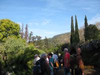 IMG_3010 Blütenpracht in der Quinta Palheiro