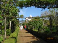 IMG_3021 Blütenpracht in der Quinta Palheiro