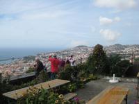 IMG_3033 Zu Besuch im Orchideen Garten von Funchal