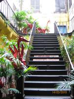 IMG_3066 Moderne Kunst in den Nebengassen von Funchal