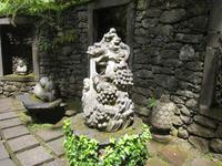 Fernöstliche Kunst im Trop. Bot.Garten