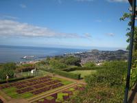 Blick über den Bot.Garten auf Funchal