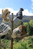 Mütze mit Ohrenklappen