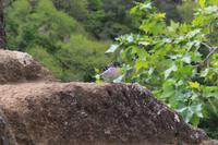 Aussichtspunkt „Balcoes“