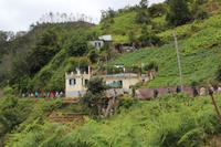 Levada-Wanderung am Adlerfelsen