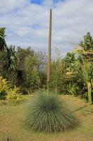 Botanischer Garten Funchal