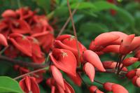 Besuch eines privaten Weinguts