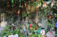 Besuch des Orchideengartens