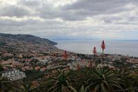 Blick über Funchal