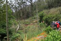 Wanderung „Levada dos Tornes“
