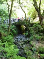 Ausgetrocknetes Flussbett