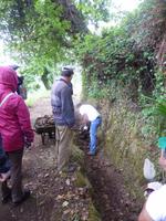 Bei der Levadareinigung