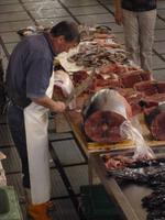 Tunfisch in der Fischhalle