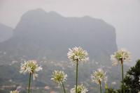 Blick auf den Adlerfelsen