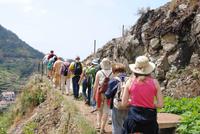 Im Gänsemarsch entlang der Lavada