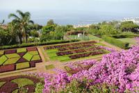 Botanischer Garten Funchal
