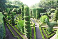 Botanischer Garten Funchal