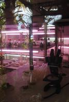 Labor für die Orchideenzucht