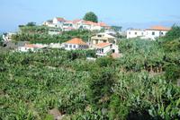 Bananenplantagen auf dem Weg in Richtung Hochmoor
