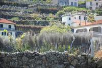 Schutzzäune aus Heide gegen den Wind