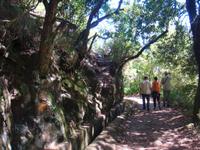 Kleiner Spaziergang im 