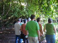 Kleiner Spaziergang im 