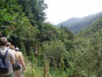 Kleiner Spaziergang im 