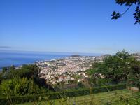 Blick auf Funchal