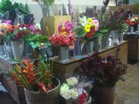 Blumenstand in der Markthalle von Funchal