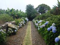 Auf dem Weg zum Weingut