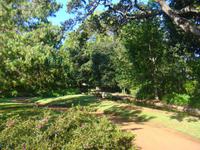 in den Gärten Madeiras