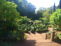 in den Gärten Madeiras