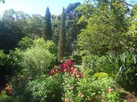 in den Gärten Madeiras