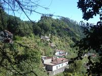 009 Wanderung am Ribeiro Frio