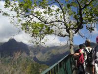 013 Aussichtspunkt auf der Levada-Wanderung