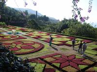 044 Botanischer Garten